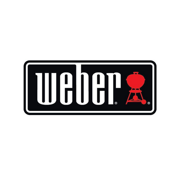 Générateur de fumée froide Weber