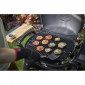 Pack Promo barbecue gaz Weber Q2200 gris foncé