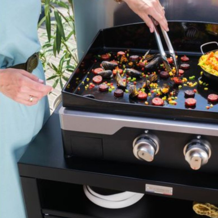 Plancha électrique Le Marquier Allure 260 Duo sur chariot + capot
