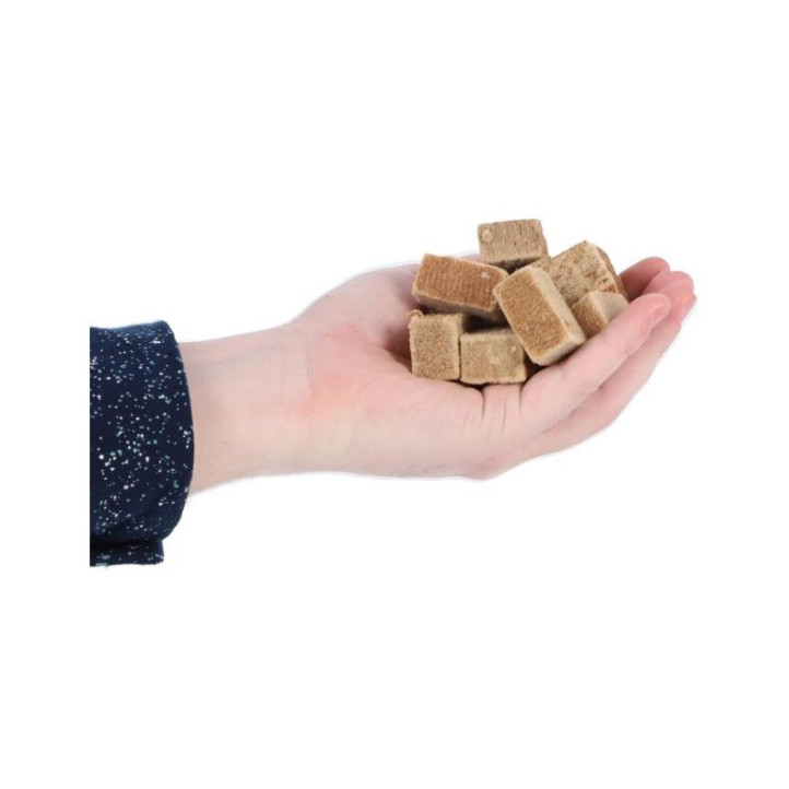 Allume feu Esschert cube x72