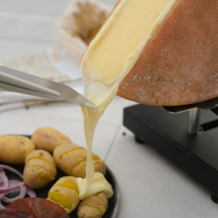 Appareil à raclette CECOA traditionnel