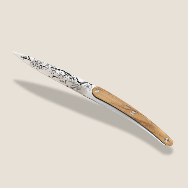 COFFRET DEEJO 4 COUTEAUX DE TABLE SAKURA/FACON OLIVIER