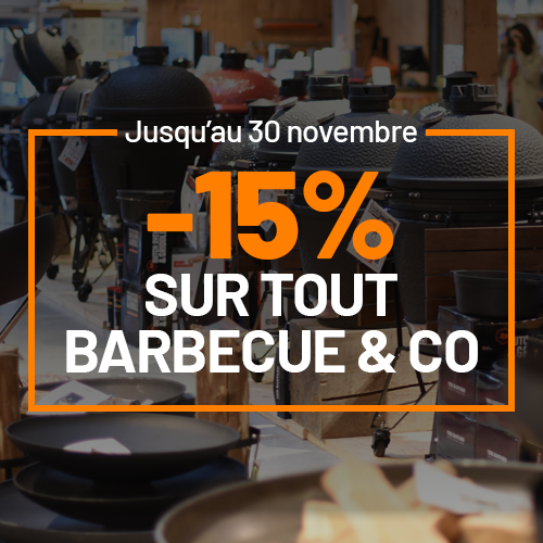 remise de 15% sur tout barbecue and co