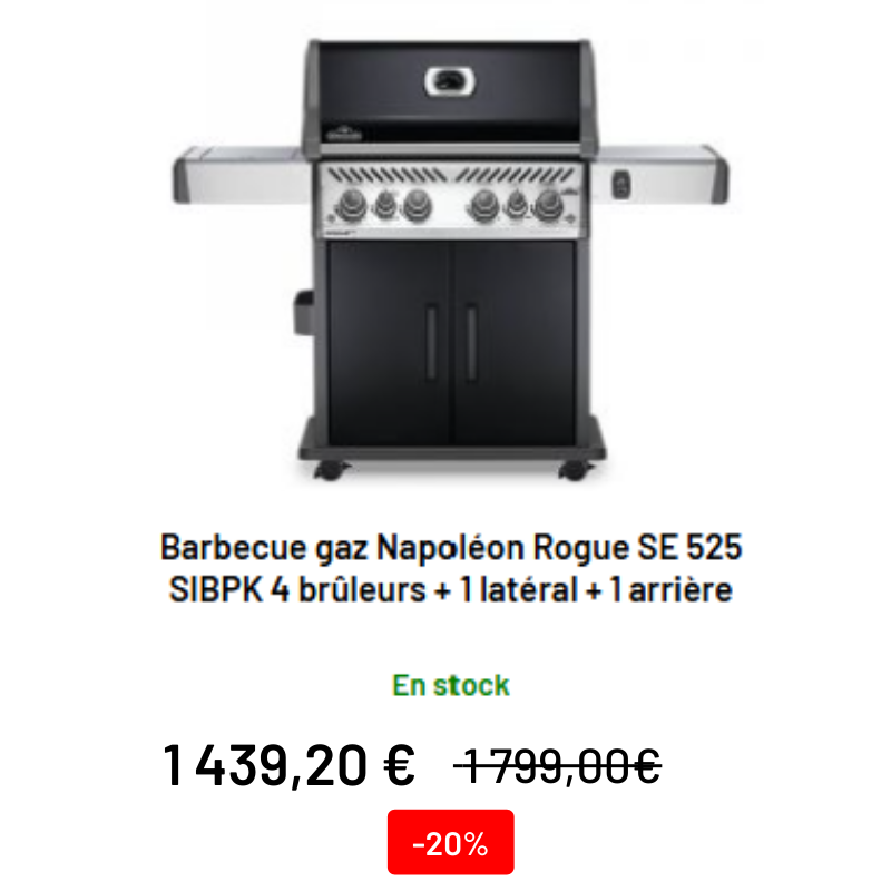 Barbecue à gaz Napoléon