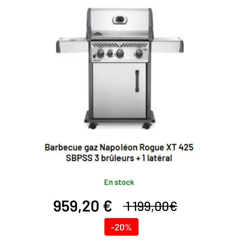 Barbecue à gaz Napoléon