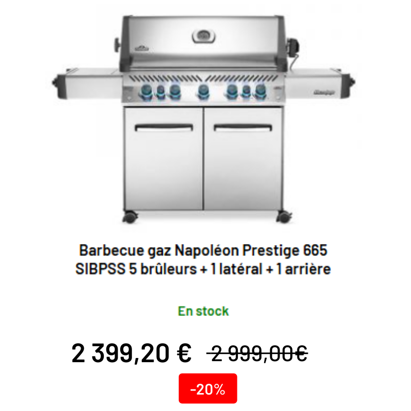 Barbecue à gaz Napoléon