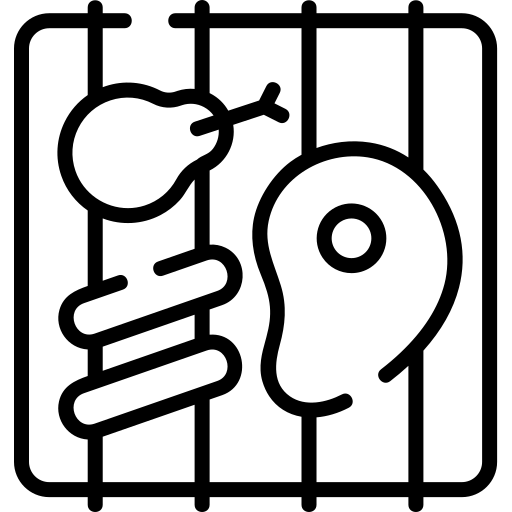 barbecue-2.png
